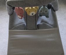 Baby Bjorn bouncer