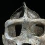 Museum quality replica of a silverback gorilla skull on custom stand Image 6