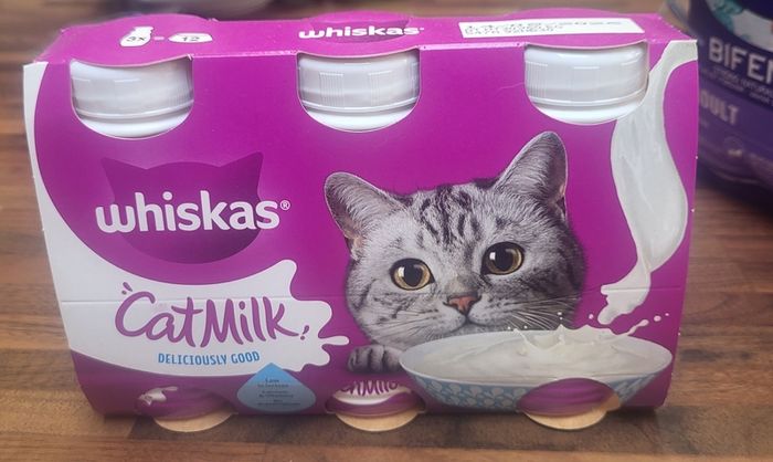 Cat Milk
