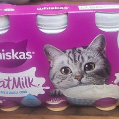 Cat Milk