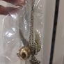 Fashion Jewelry Image 2