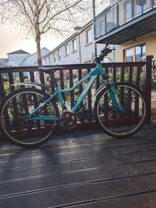 Procycle Vogue bicycle