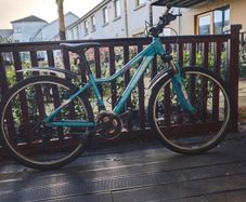 Procycle Vogue bicycle