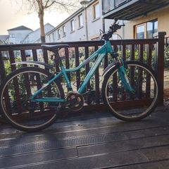 Procycle Vogue bicycle