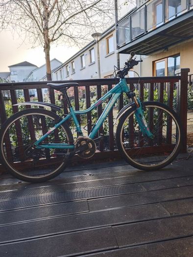 Procycle Vogue bicycle