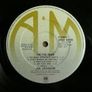 Joe Jackson  I'm The Man Irish and Image 3