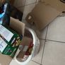 Free Cardboard includes a free basket Image 4