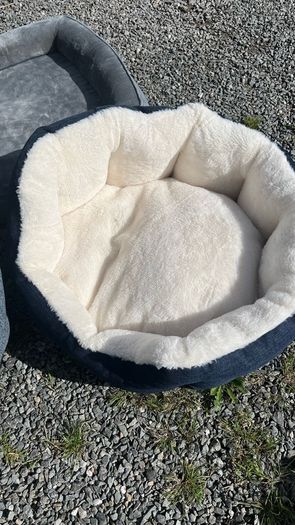 Dog Beds
