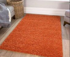 Soft Shaggy Rug