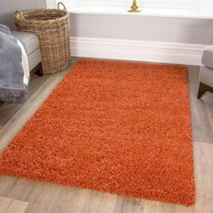 Soft Shaggy Rug
