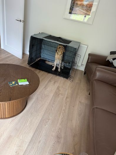 Dog crate