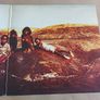 Midnight Oil - Diesel And Dust - Vinyl Record + Hundreds More Image 4