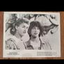 1989 Bill & Teds Excellent Adventure Press Kit Photos Image 2
