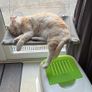 cat bed (bird watching chillaxing window lounge bed) Image 2