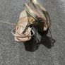 Gold Steve Madden Sandals Image 4
