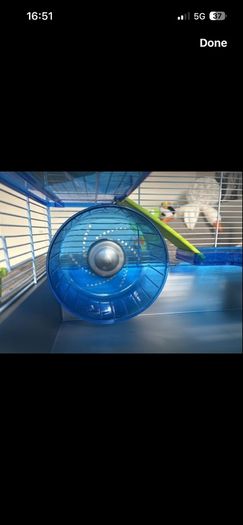 hamster cage