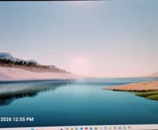 Two  Lenovo ThinkVision 24 Monitors  15 Each