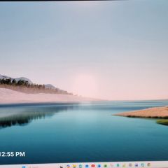 Two  Lenovo ThinkVision 24 Monitors  15 Each