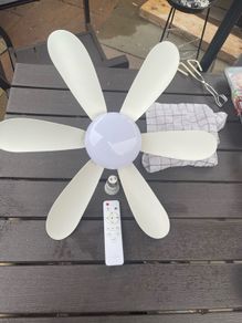 Ceiling fan, light and remote