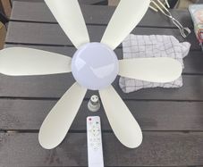 Ceiling fan, light and remote