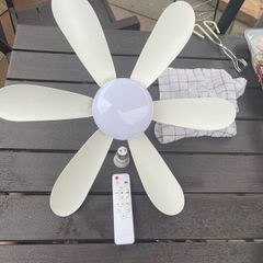 Ceiling fan, light and remote
