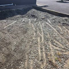 pea gravel / pebbles