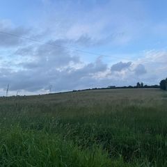 7 acres of meadow for silage