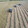Hay Image 2