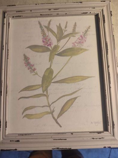 Framed Water Coloer  And Signed Hebe By Natalie Taylor