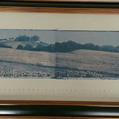 Framed  picture - Sunflowers Tuscany
