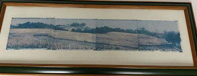 Framed  picture - Sunflowers Tuscany