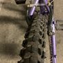 Apollo XC24 Single-Speed Bike Image 4