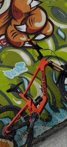 Santa Cruz Bronson v4  frame only