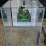 30L aquarium Image 2