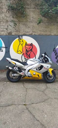 Yamaha thundercat