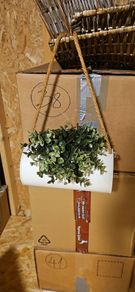 Fake plant in a hanging container