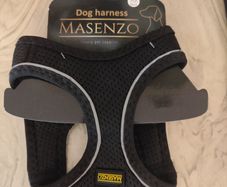 Harness XS Dog Black