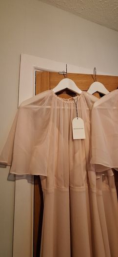 Monsoon blush pink Bridemaids BNWT