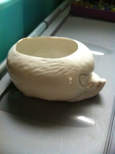 Ceramic Dish