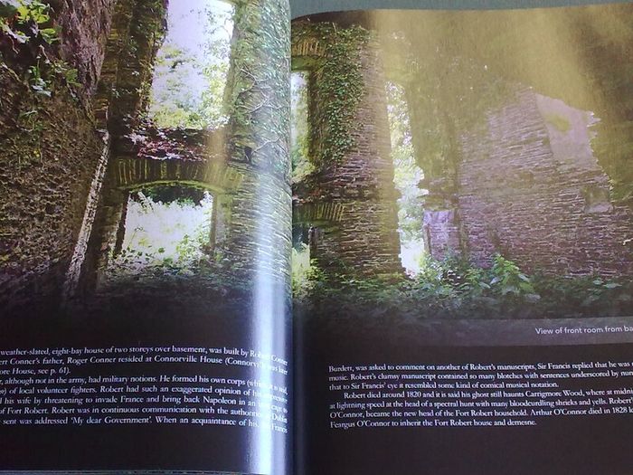 Abandoned Mansions of Ireland Irish history Signed by writer Tarquin Blake