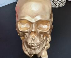 skull decor