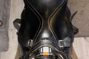 horse saddle