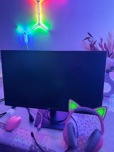 Razer Headphones and Mouse
