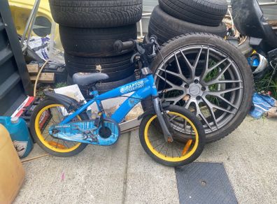 boys bike free