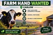 Farm hand needed