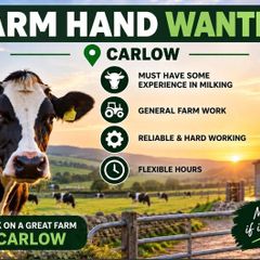 Farm hand needed