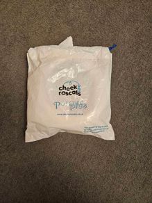Cheeky rascals Potette plus portable potty and toilet seat