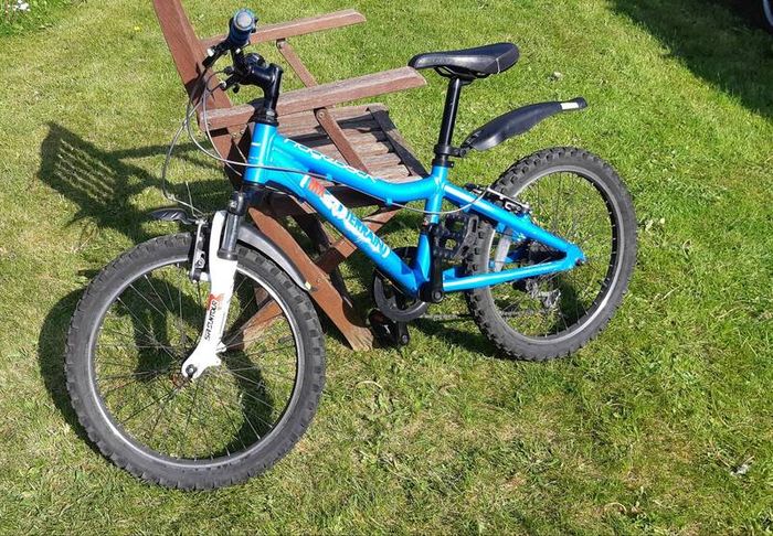 Ridgeback MX20