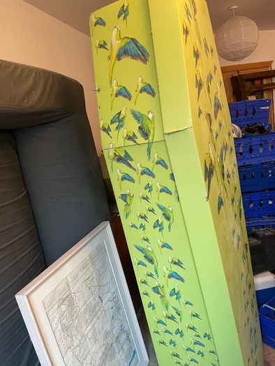 cardboard coffin for sale