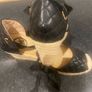 Ladies sandals / Espadrilles Image 4